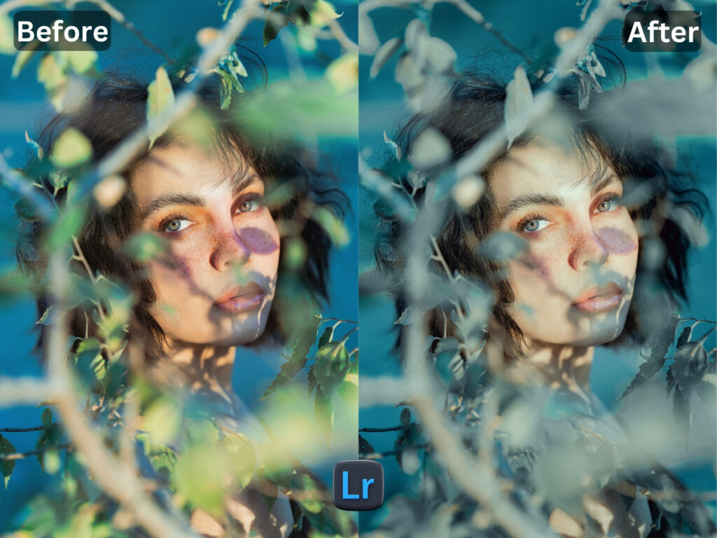 Portrait Pro Free Lightroom Preset www.Editpreset.com