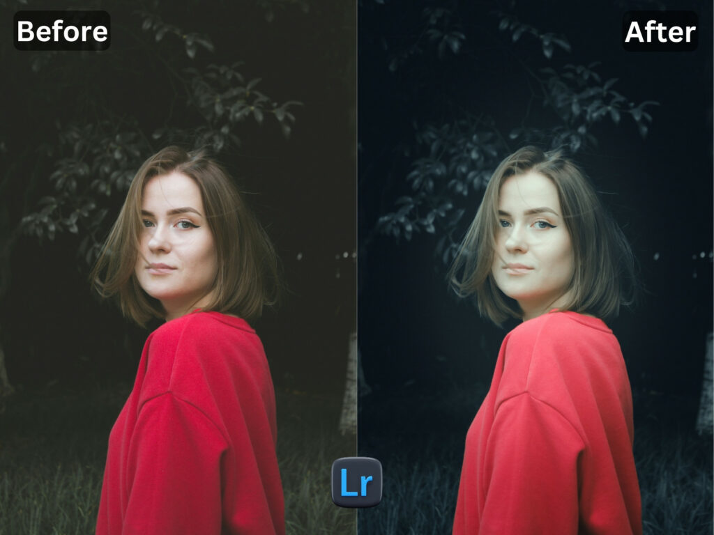 Portrait Pro Free Lightroom Preset www.Editpreset.com