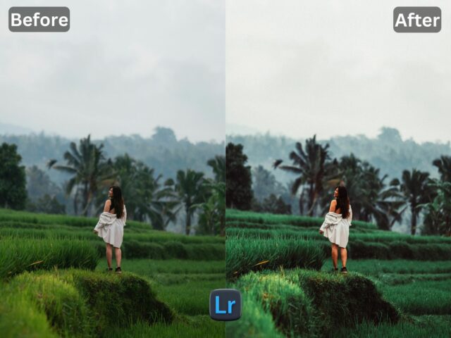 Bali Free Lightroom Preset www.Editpreset.com