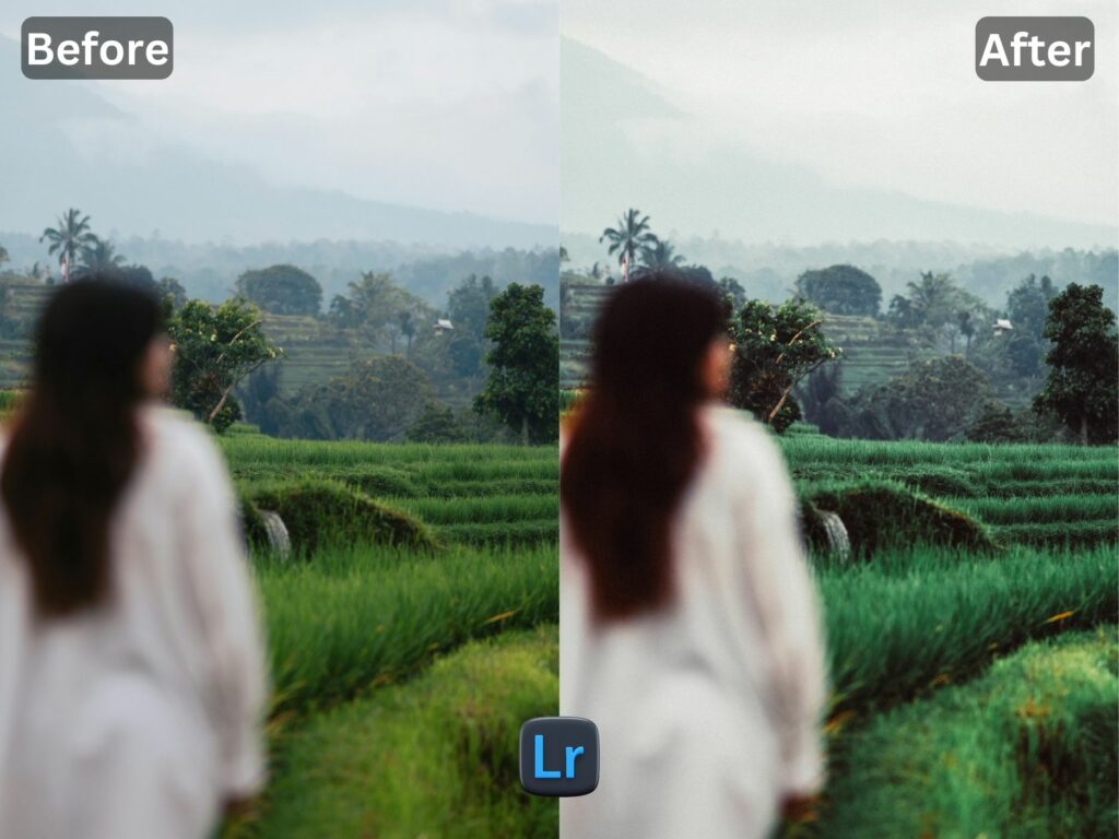 Bali Free Lightroom Preset www.Editpreset.com