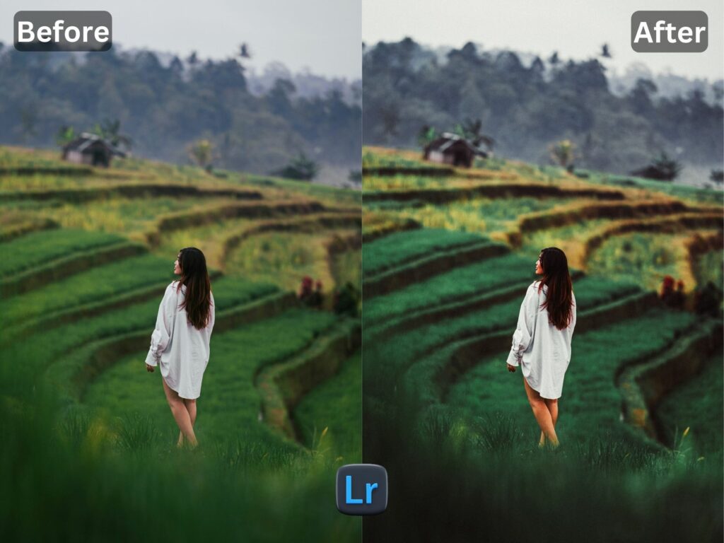 Bali Free Lightroom Preset www.Editpreset.com