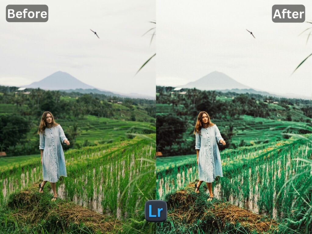 Bali Free Lightroom Preset www.Editpreset.com