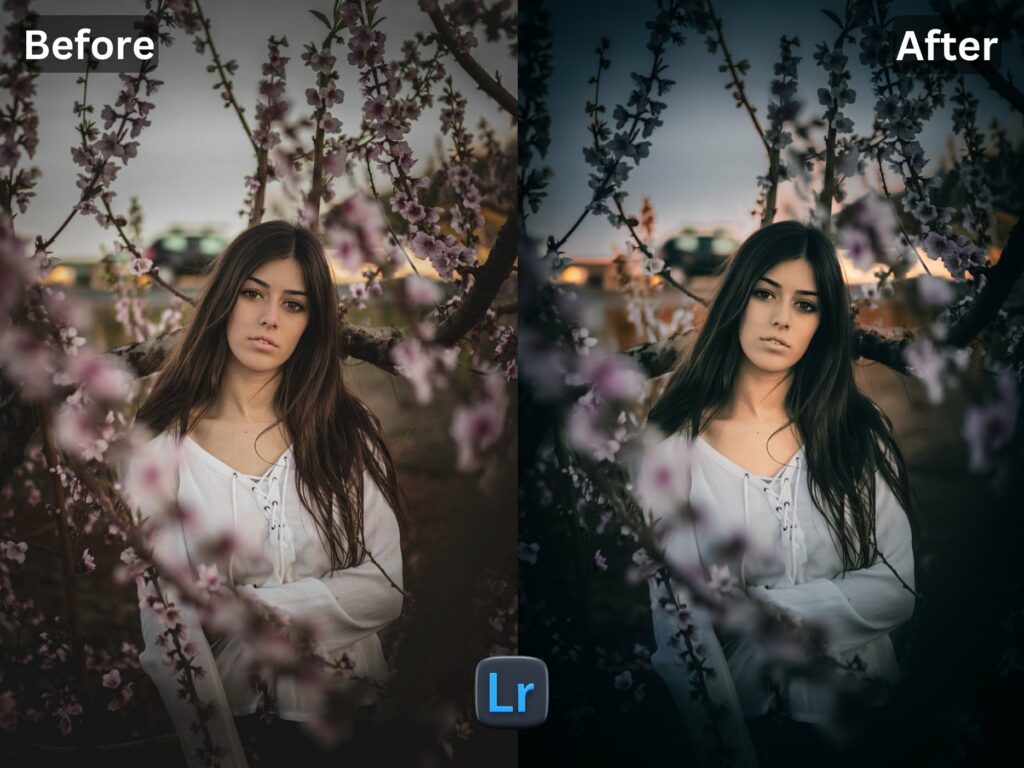 Vivid Class Free Lightroom Preset www.EditPreset.com