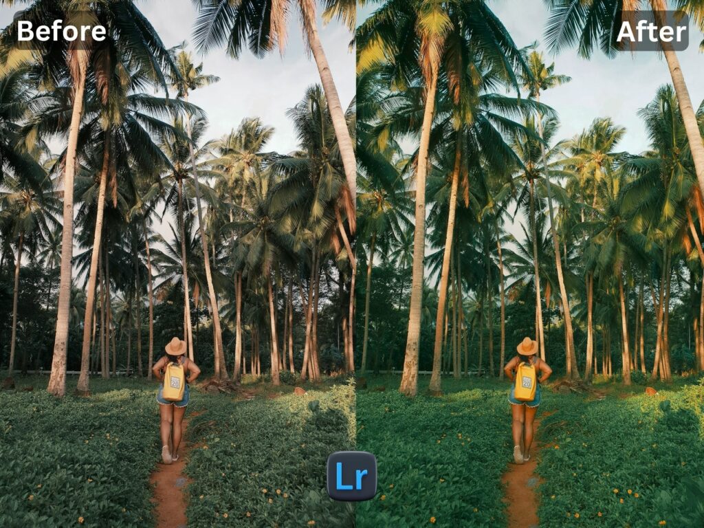 Bali Life Free Lightroom Preset www.EditPreset.com