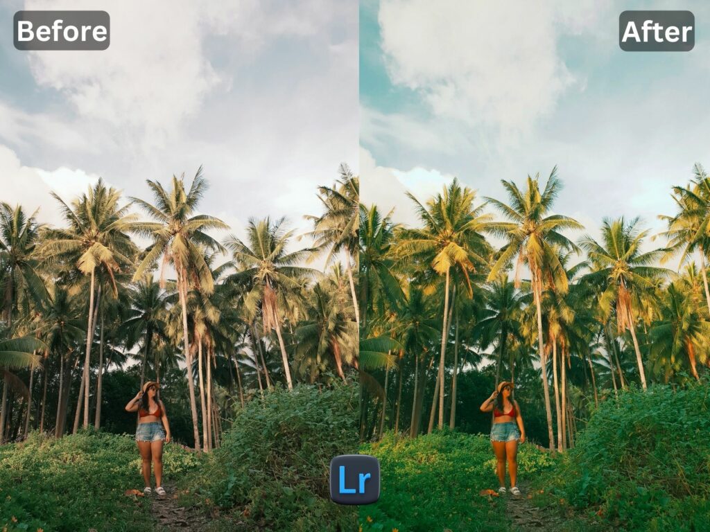 Bali Life Free Lightroom Preset www.EditPreset.com