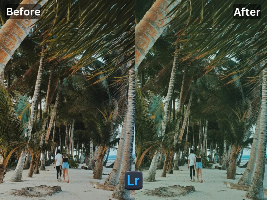 Bali Life Free Lightroom Preset www.EditPreset.com