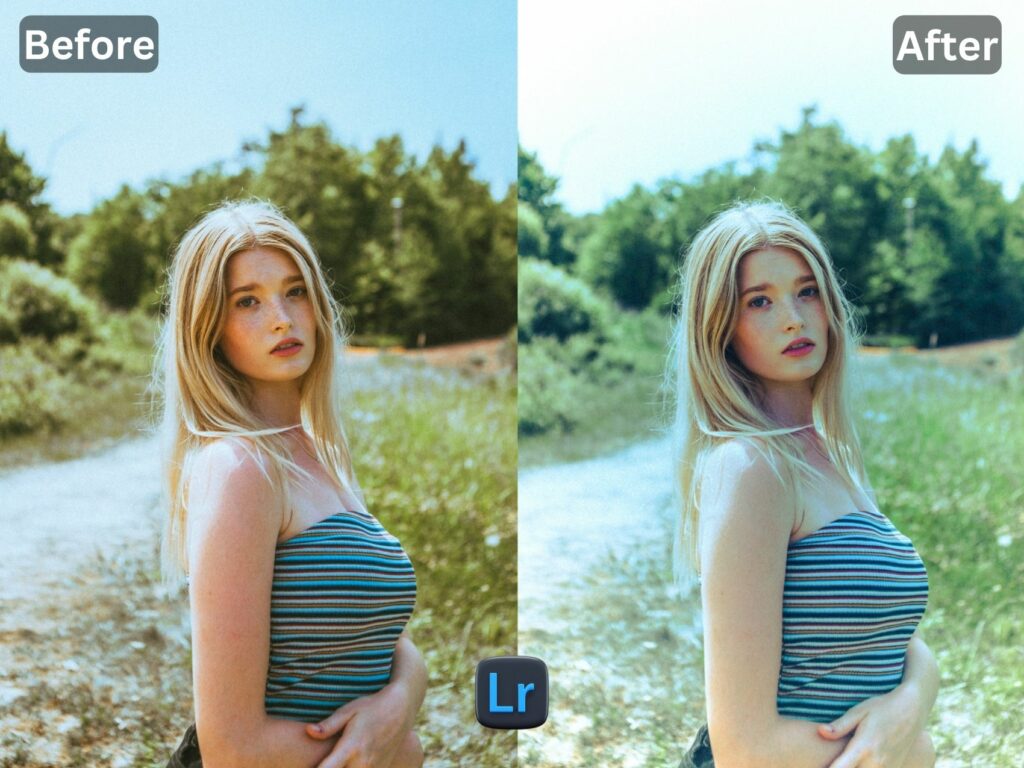 Nordic Free Lightroom Preset www.EditPreset.com