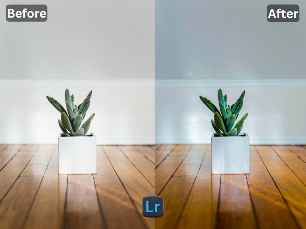 Timeless Free Lightroom Preset www.EditPreset.com