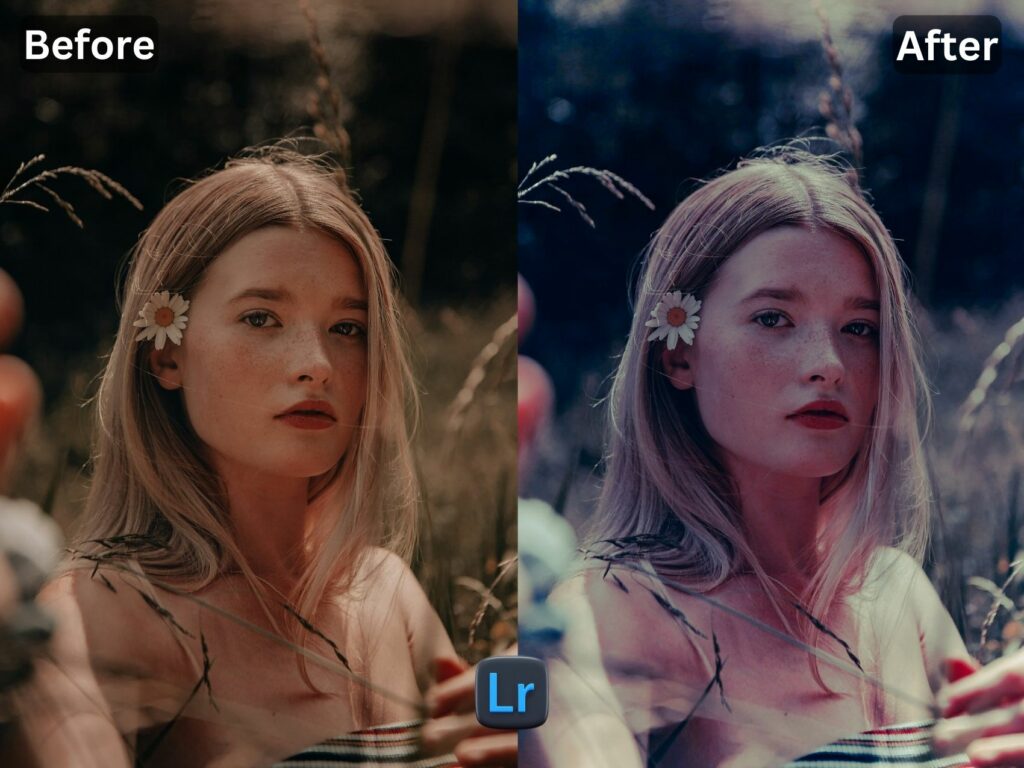 Nordic Free Lightroom Preset www.EditPreset.com