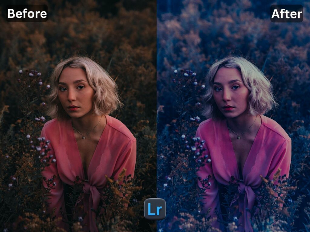 Nordic Free Lightroom Preset www.EditPreset.com