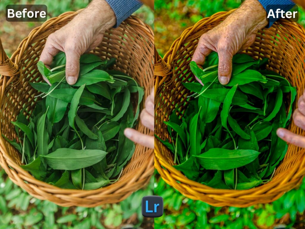 Timeless Free Lightroom Preset www.EditPreset.com
