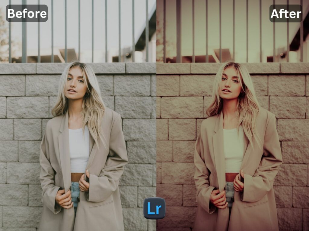 Hollywood Free Lightroom Preset www.EditPreset.com