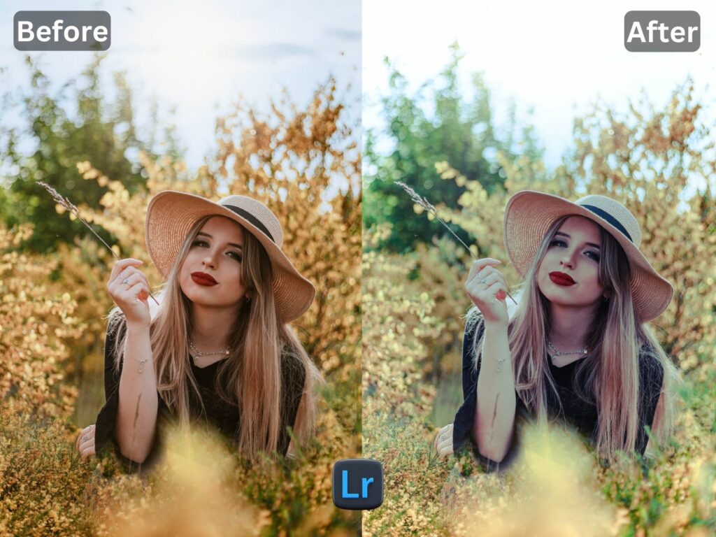 Nordic Free Lightroom Preset www.EditPreset.com