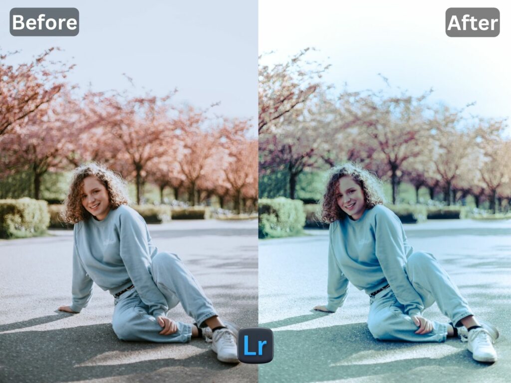 Nordic Free Lightroom Preset www.EditPreset.com