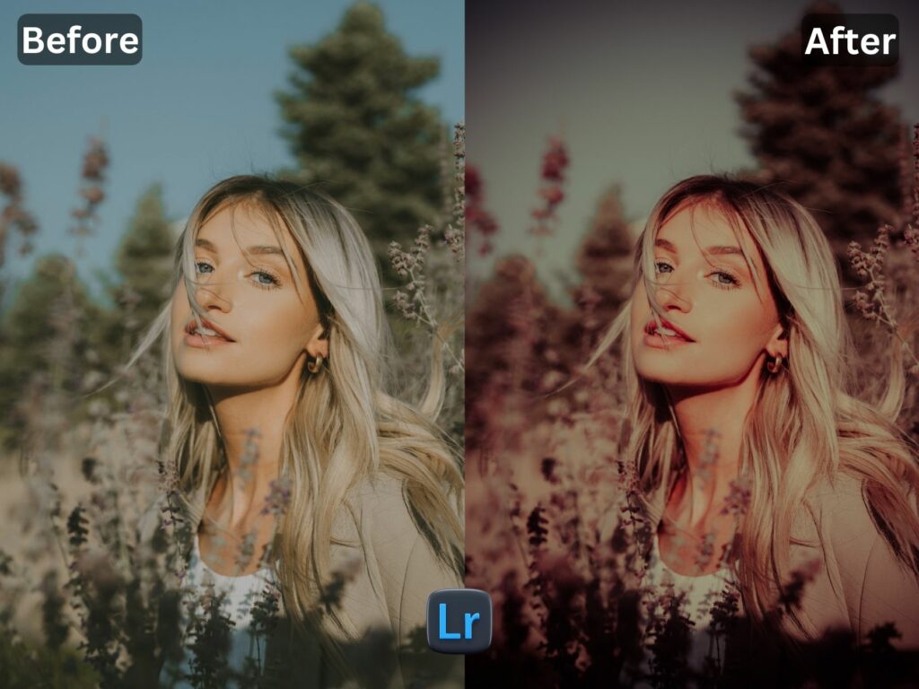 Hollywood Free Lightroom Preset www.EditPreset.com