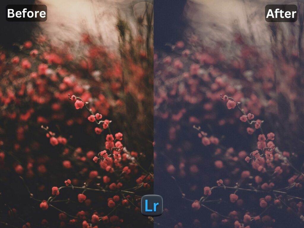 Timeless Free Lightroom Preset www.EditPreset.com